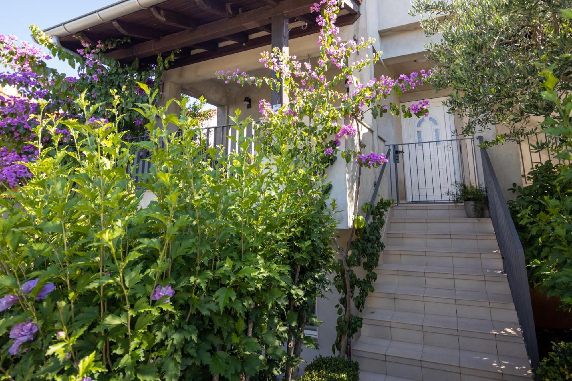 Lumaja Luxury Apartman Biograd na Moru Kültér fotó
